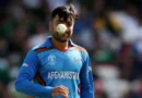 Rashid Khan becomes first bowler to take 700 T20 wickets